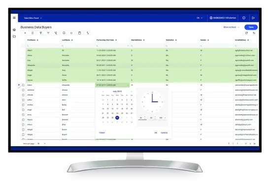 Effective data management with Comarch Data Editor