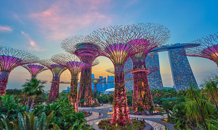 Comarch Joins FutureNet Asia 2025 as a Silver Sponsor