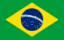 Mandatory E-Invoicing in Brazil