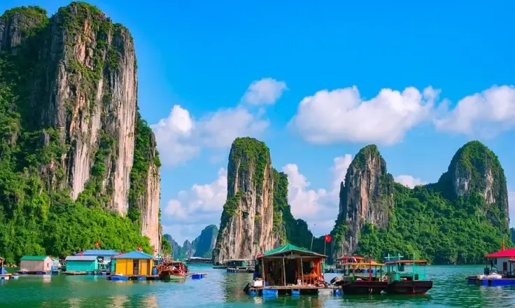 Vietnam’s New VAT Law Takes Effect on July 1, 2025